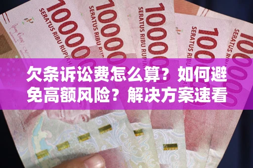 北京欠条诉讼费怎么算？如何避免高额风险？解决方案速看！