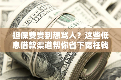 北京担保费贵到想骂人？这些低息借款渠道帮你省下冤枉钱