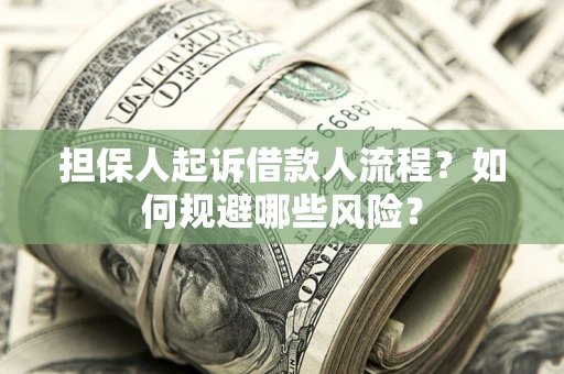 北京担保人起诉借款人流程？如何规避哪些风险？